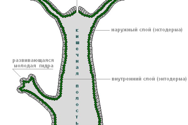 Ссылки даркнет